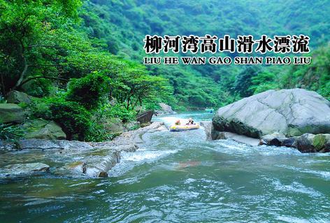 探索蜗牛世界,畅享一碗麦片,3个鸡蛋,不熬粥不煮饭,低脂肪低热量,营养不长胖问答乐趣!